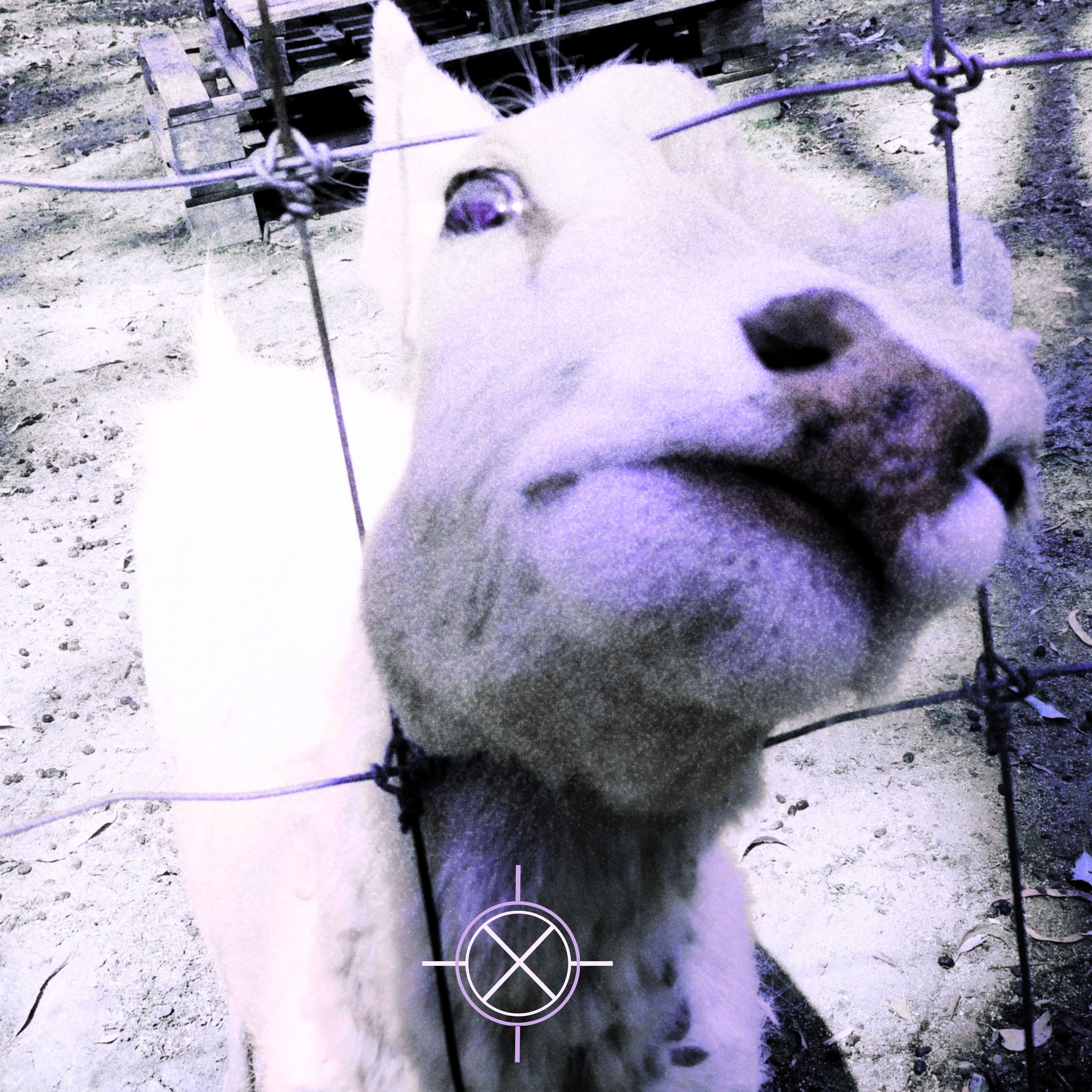 My Daydreams — Deer Hunting Season cover artwork