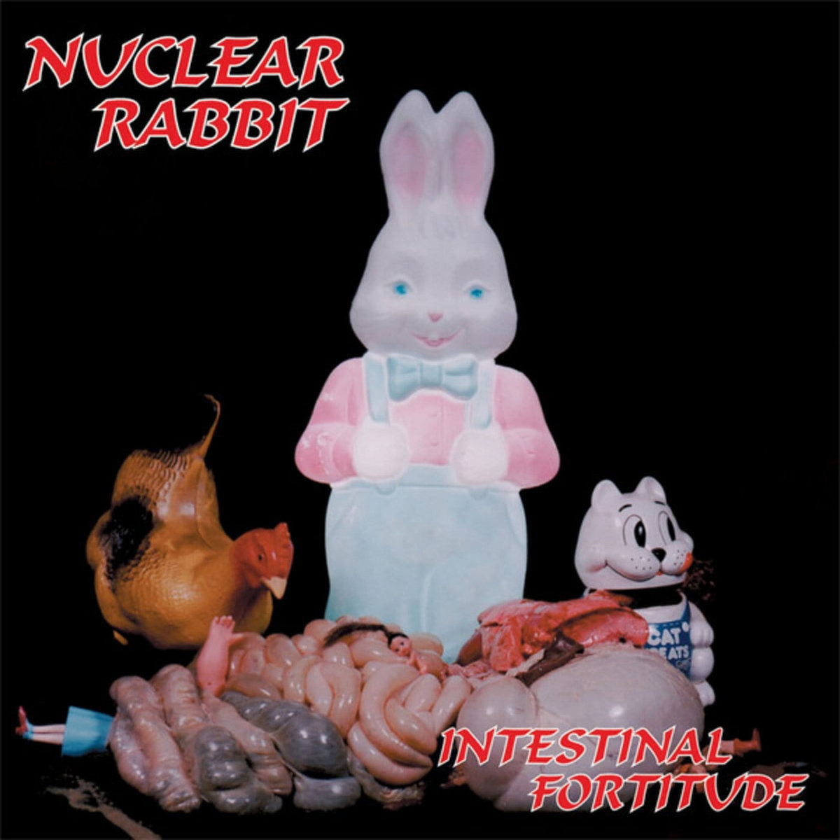 Nucklear Rabbit Intestinal Fortitude | Nuclear Rabbit