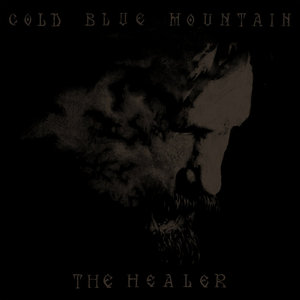 The Healer cover