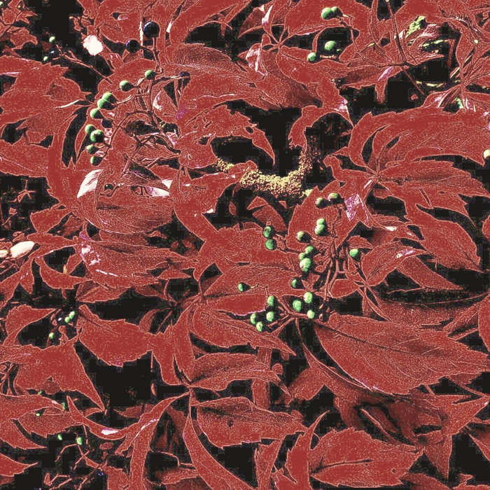 Falling Down A Colorful Hill Jurko Haltuu