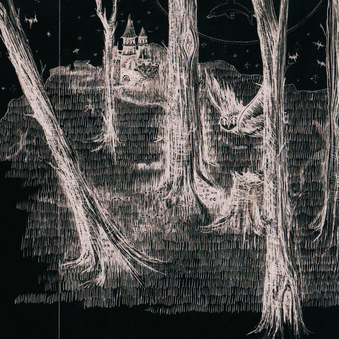 In Old Forests And Ancient Woods | Kourosh Oliver Floyd Adhamy