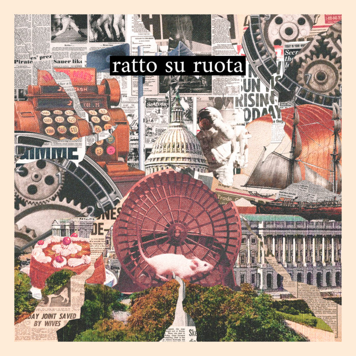 Ratto su ruota | Mattoni