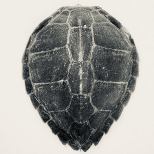 Alone Together (EP)Francesco Turrisi with Marco Ambrosini & Rodney Prada cover