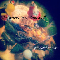 The World in a Clamshell cover art