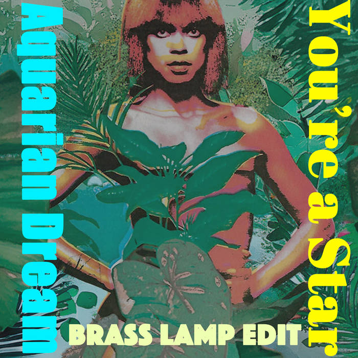 Aquarian Dream - You're a Star (Brass Lamp Edit) | Aquarian