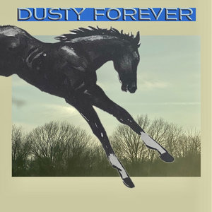 the horse cover