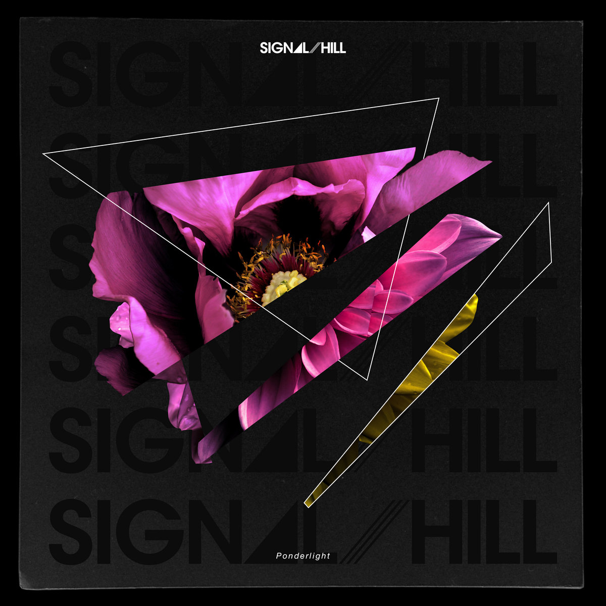 みんなが待ってた！＼再入荷待ち／人気ランキング Discarded Futures Hill Signal | ミュージック