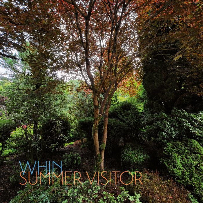 Summer Visitor, by Whin