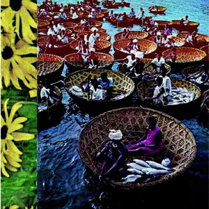 Dead Gaze/Gray Things Split Tape cover
