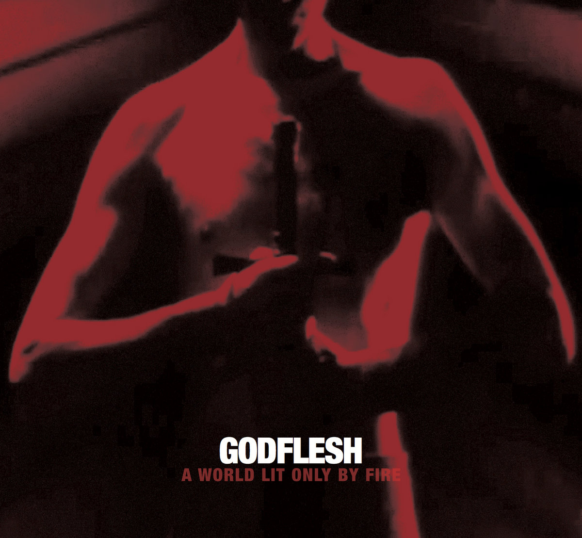 英LP Godflesh A World Lit Only By Dub FLESHREC001 Flesh Recordings 未開封 /00260 A World Lit Only By Fire | GODFLESH