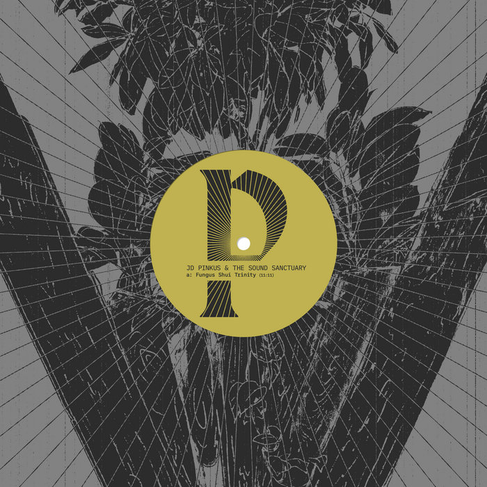 Pochette de JD Pinkus & The Sound Sanctuary par JD Pinkus