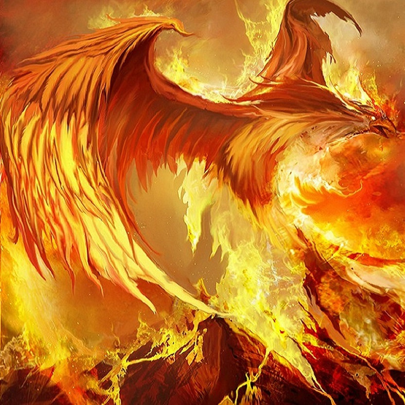 Desert Phoenix Derek Fiechter