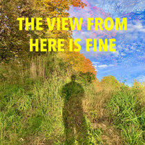 the view from here is fine cover art