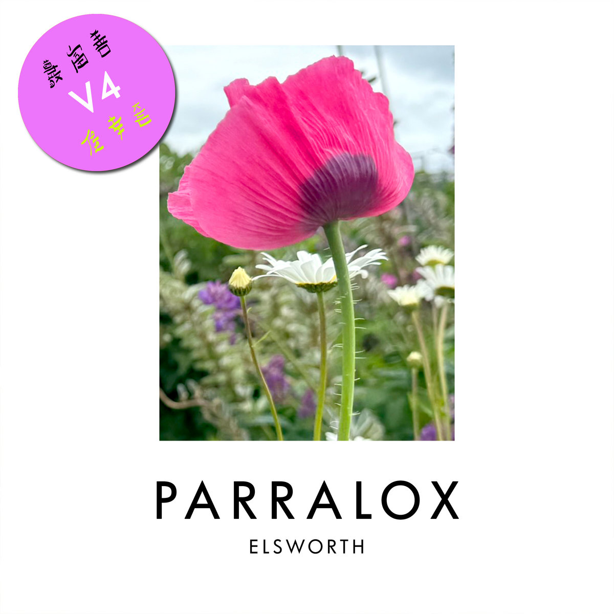 Download Parralox - Elsworth V4 on Bandcamp