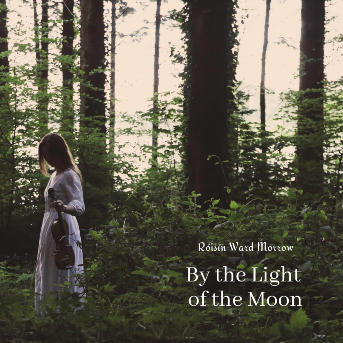 By the Light of the Moon cover