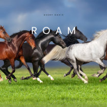 Roam cover art