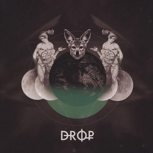 Drop cover