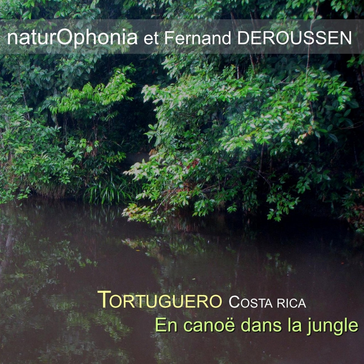 Tortuguero En Canoé Costa Rica Naturophonia Naturophonia