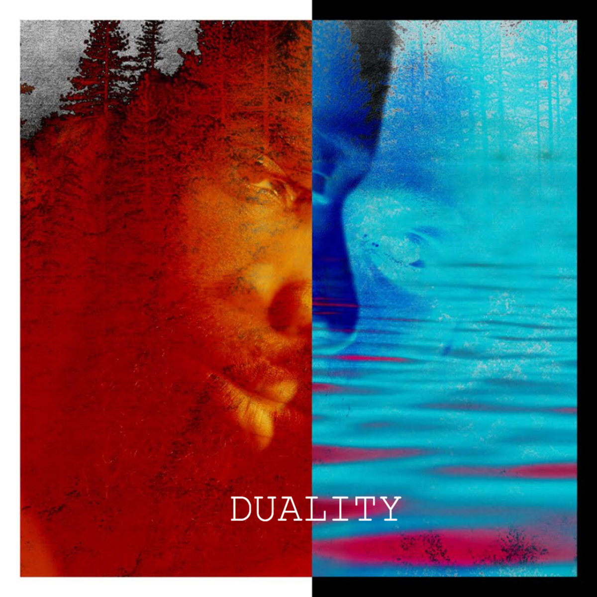 Duality cover