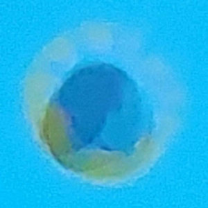 Blue Light cover