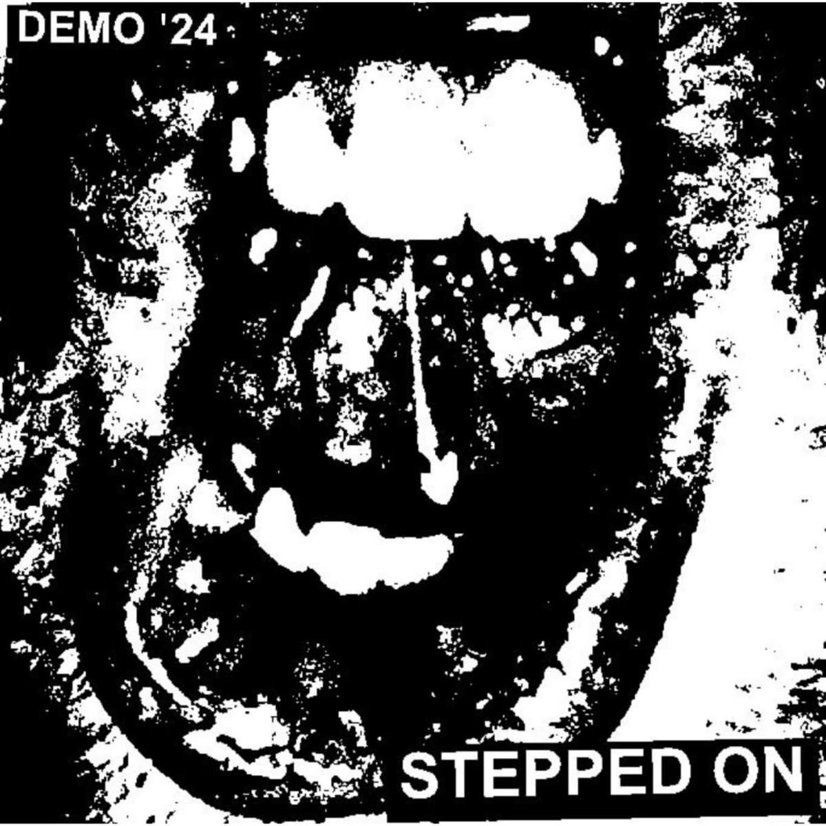 邦楽 RED CARPET / DEMO CD 邦楽 RED CARPET / DEMO CD 邦楽 RED