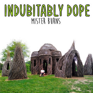Indubitably Dope cover