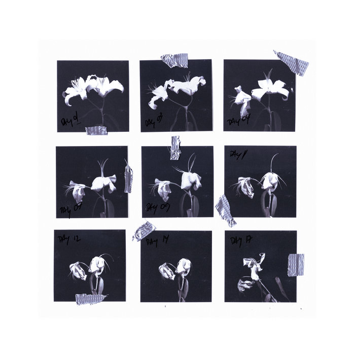 Host range Exium PoleGroup