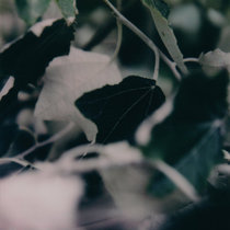 Underwritten II cover art