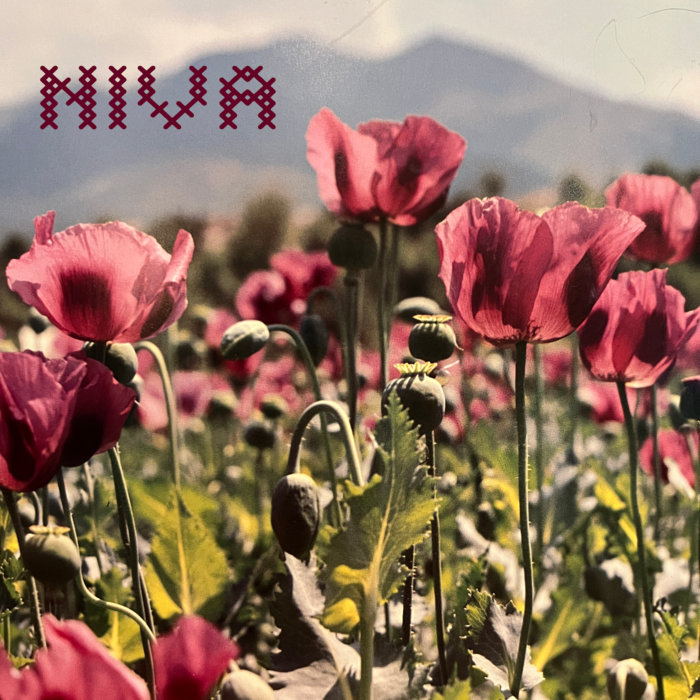 Niva | Niva