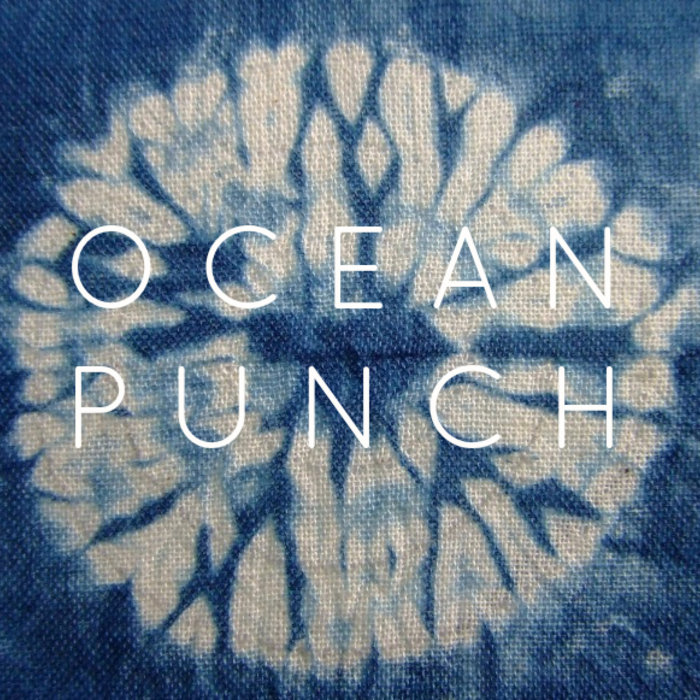 Anis new pornographers discography