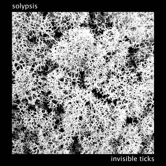 Invisible Ticks cover art