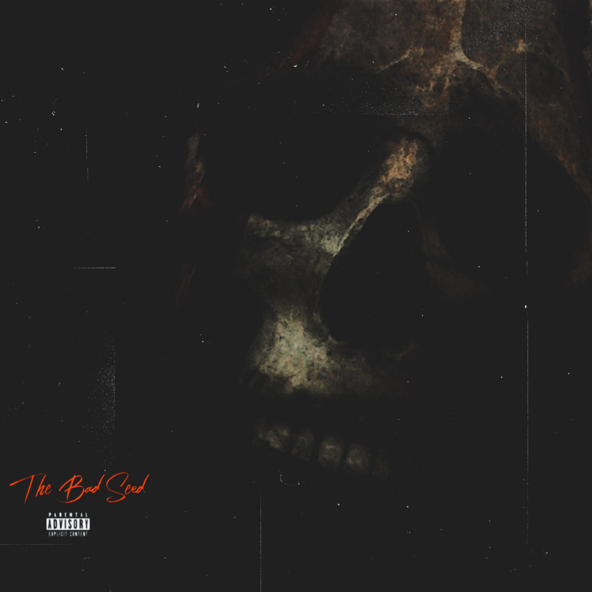 The Bad Seed | The Bad Seed