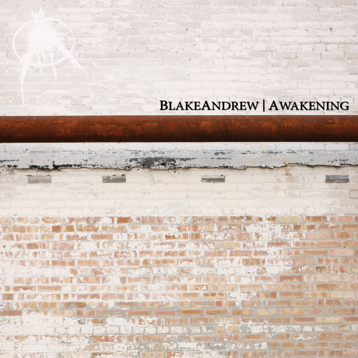 Awakening Blake Andrew