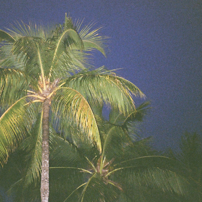 Yajasu Tree We are Yajasu | Yajasu