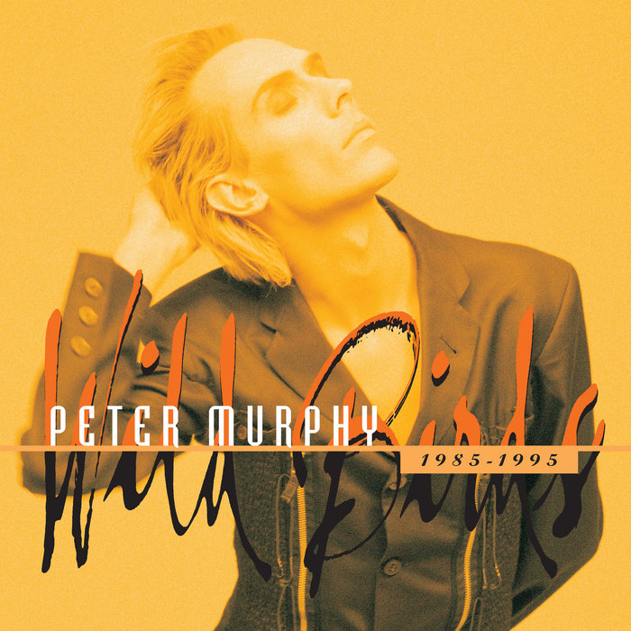 Wild Birds | Peter Murphy