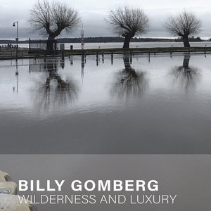 Billy Gomberg — Wilderness And Luxury