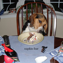 Napkin Fear cover art