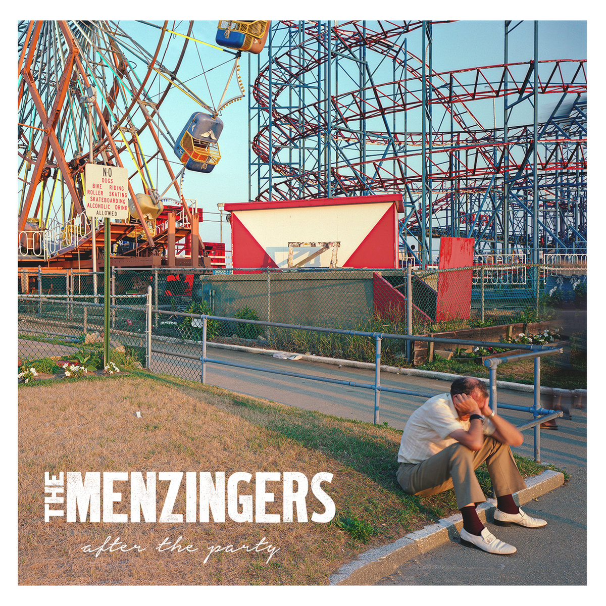 Image result for The Menzingers: After The Party album art