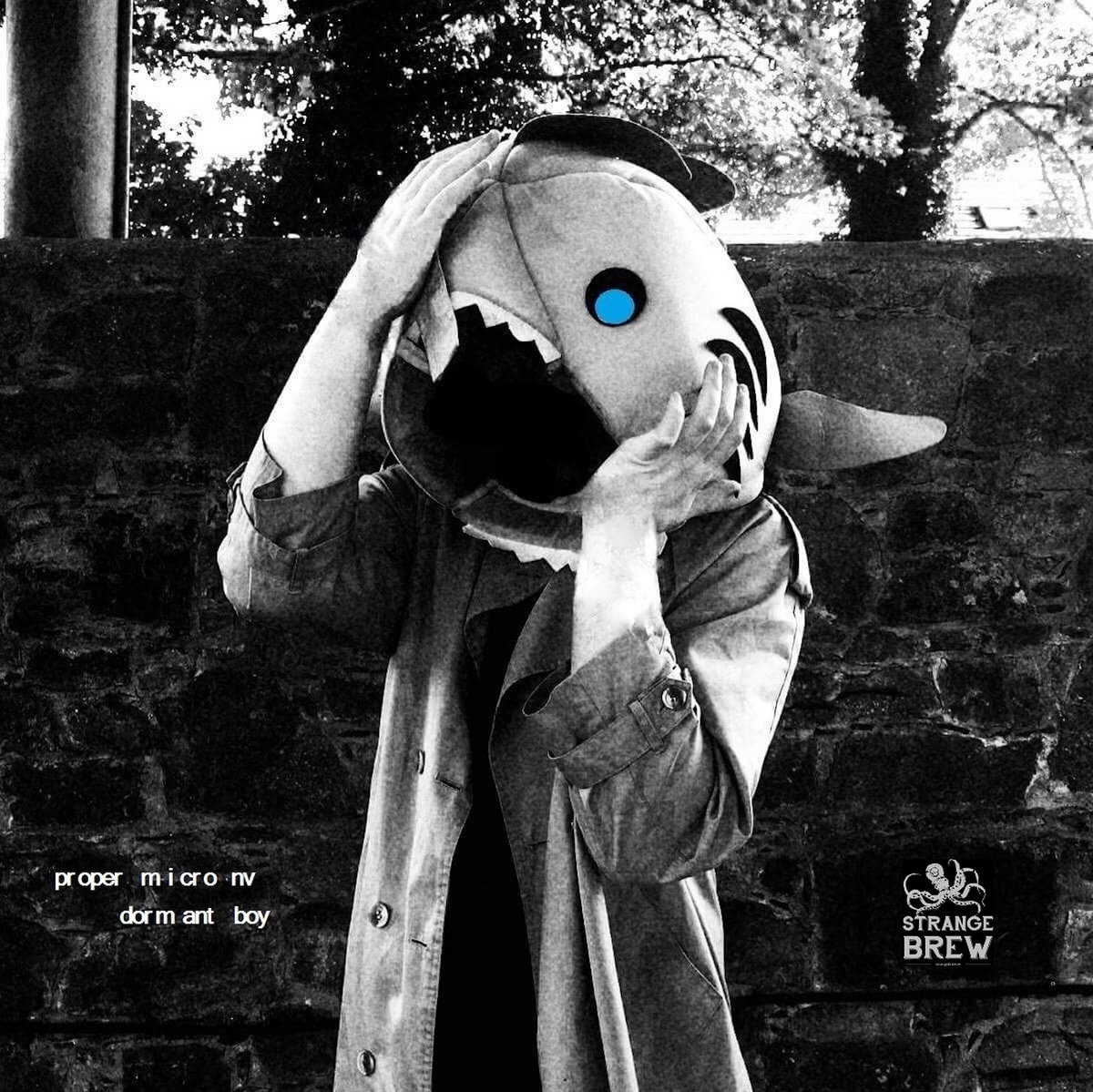 Dormant Boy cover