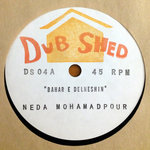 DS04 - NEDA MOHAMADPOUR - Bahar e Delneshin // Spring Of My Longing