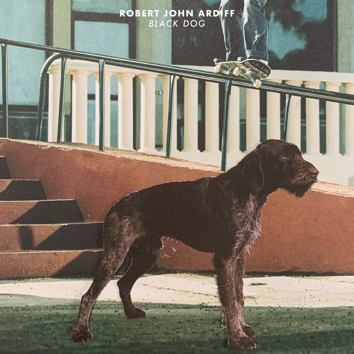 Black Dog cover