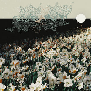 rosemary cover