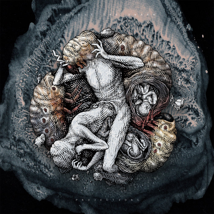 Invisible Threads | Across The Swarm