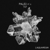 747 — Pangea