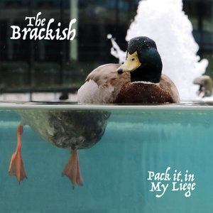 Pack It In My Liege cover