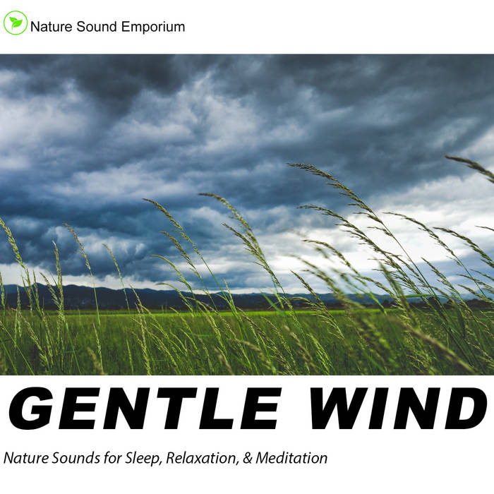 2-2450 the Gentle Wind CD「Gentle Voice」 mqdefault.jpg