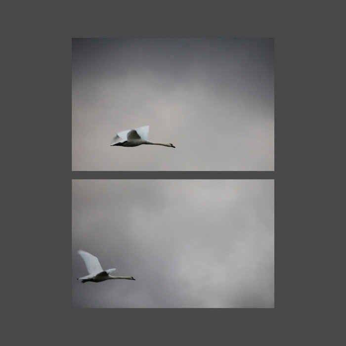 Frames Per Second Downscope