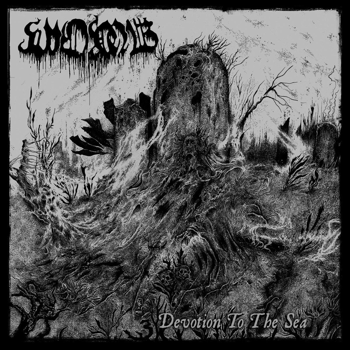 Devotion To The Sea | WOMB | Chaos Records