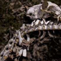 There Are No Guarantees cover art