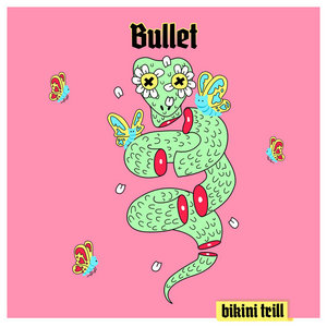 Bullet cover